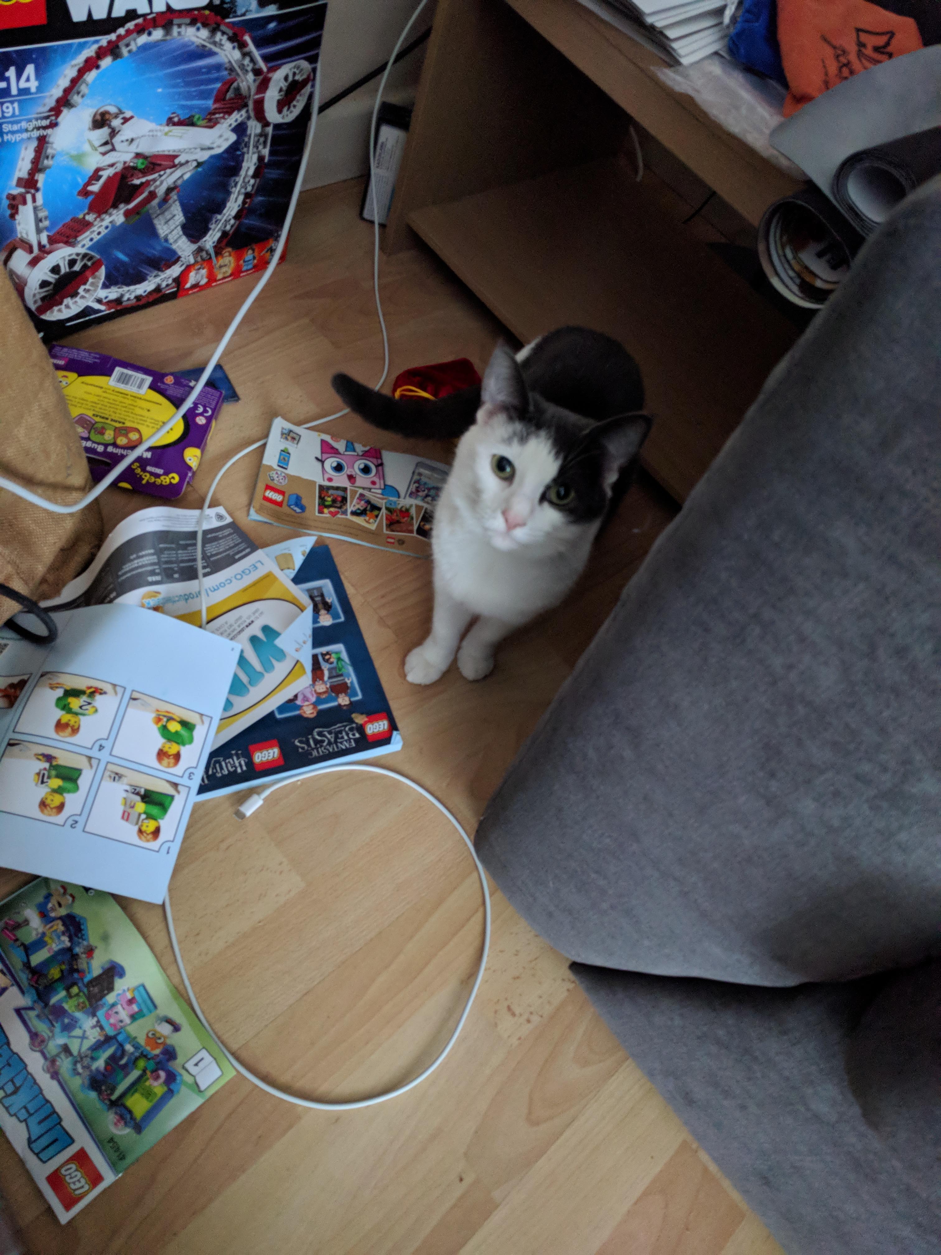 Kitty Diary Photo: 2019-01-30T12:40:59.000Z