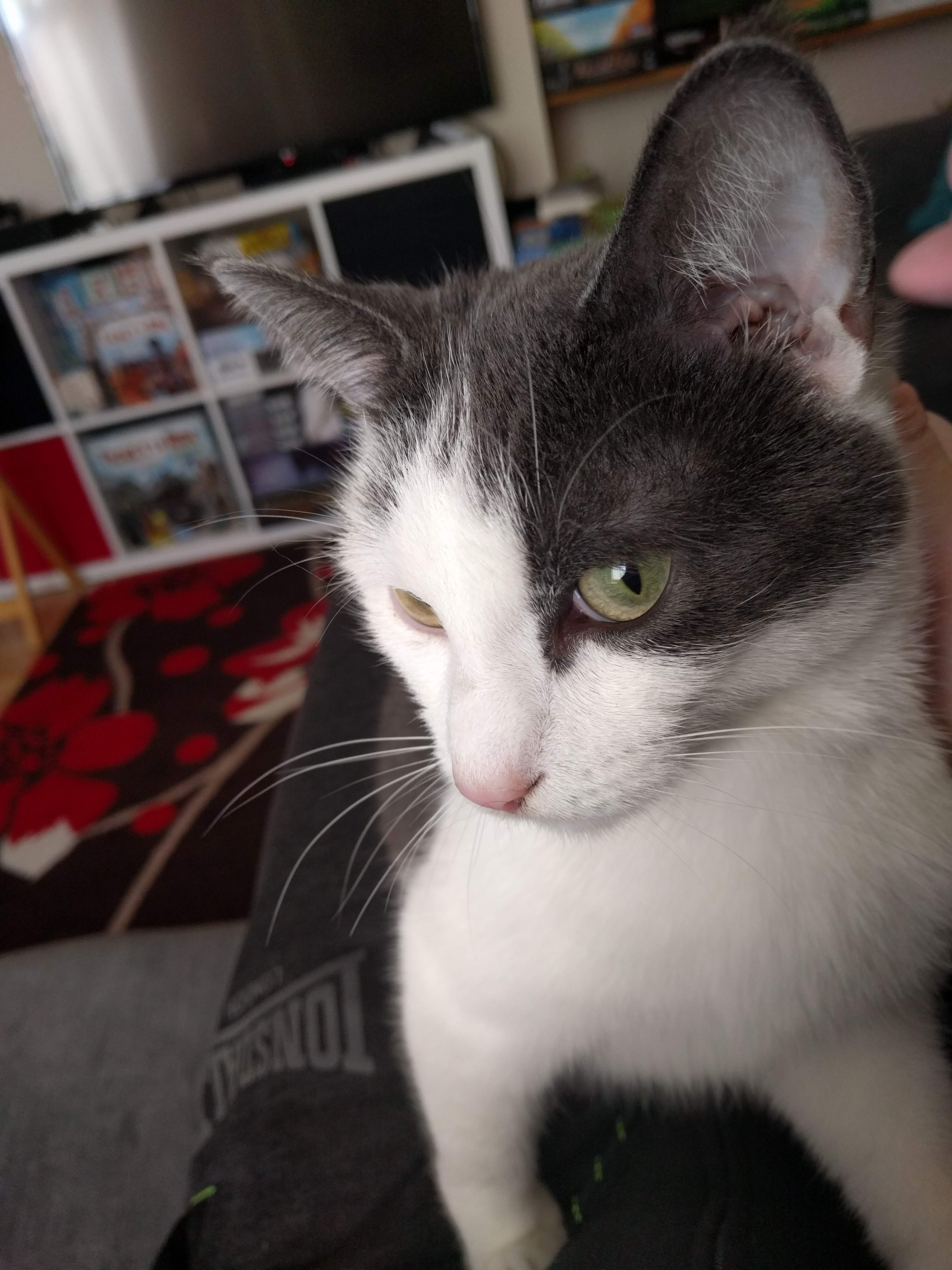 Kitty Diary Photo: 2019-02-27T09:25:11.000Z