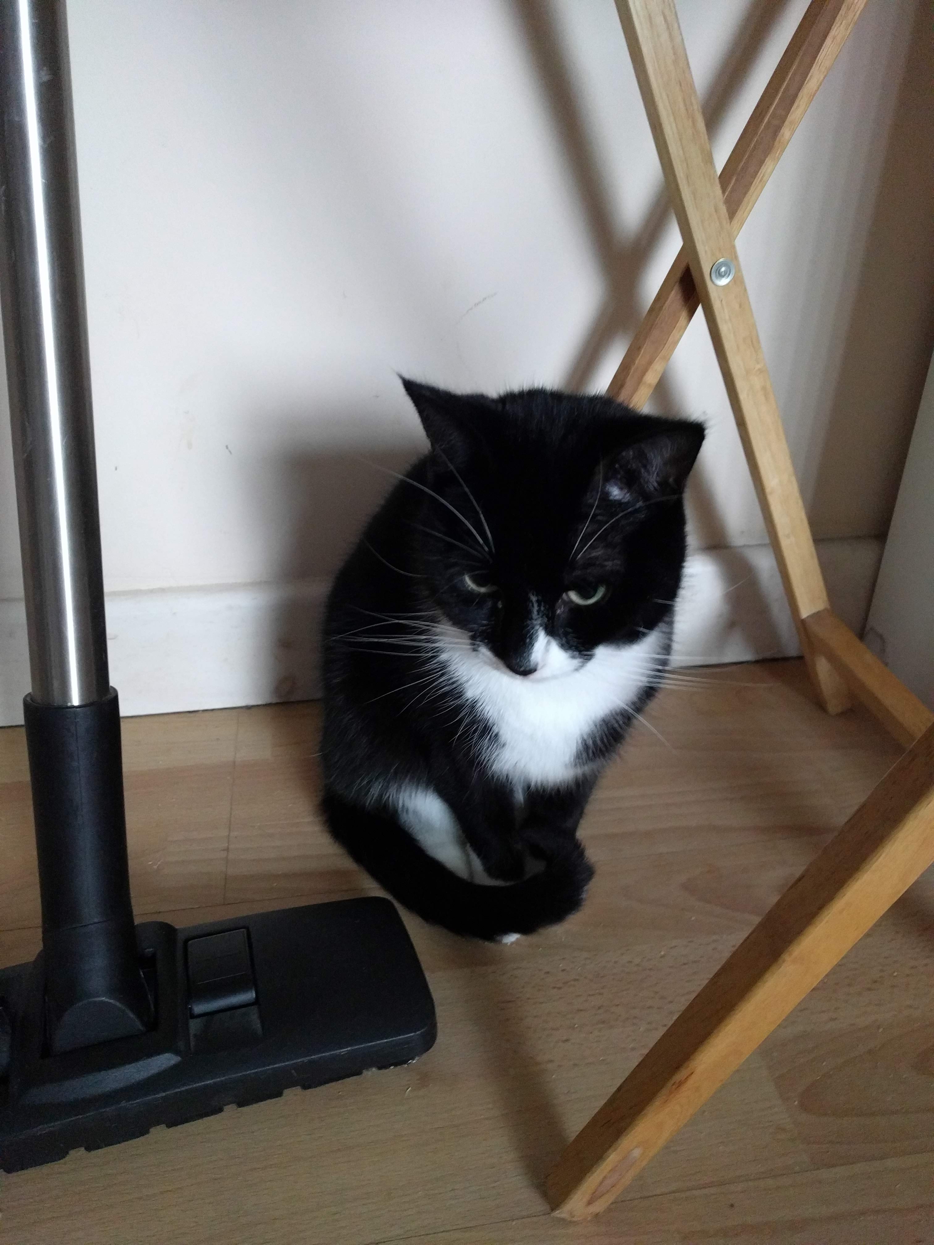 Kitty Diary Photo: 2019-03-05T16:50:22.000Z