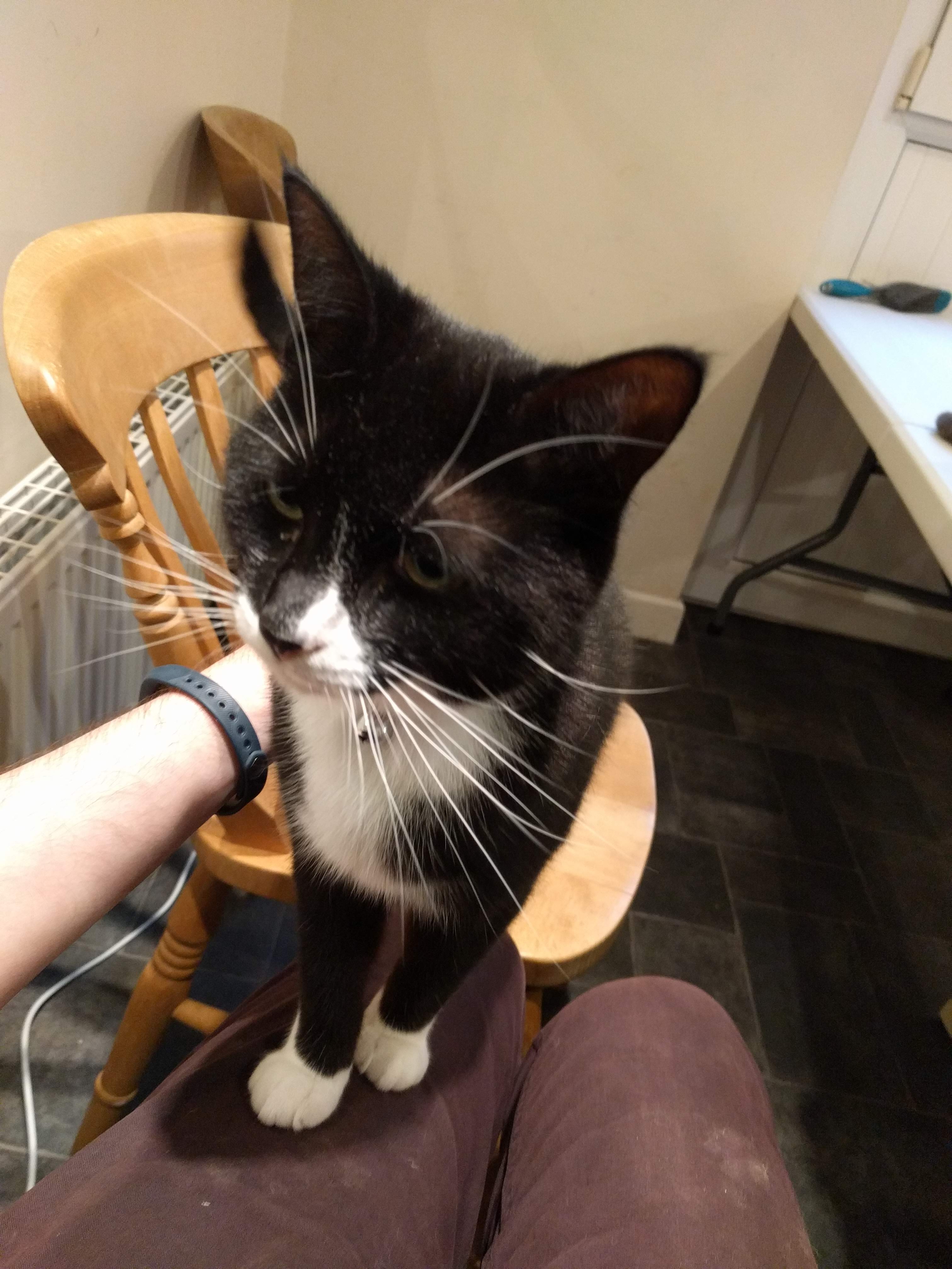 Kitty Diary Photo: 2019-04-24T17:47:38.000Z